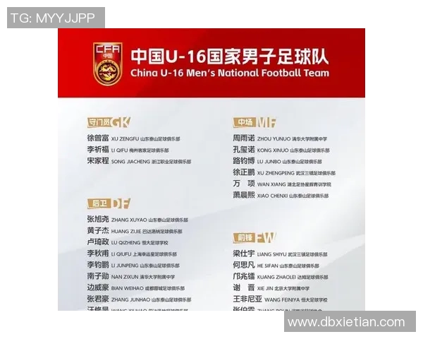 中国足球十二大球星排名榜揭秘 谁将成为未来的领军人物